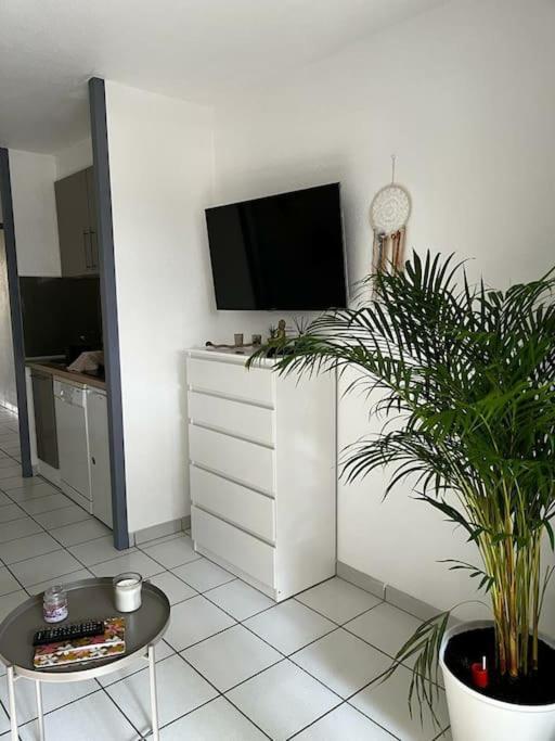 Appartement "Chez Mag Et Jo" 莫列马阿 外观 照片